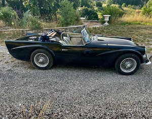 Daimler - SP 250 Dart - 1962 - imagine 6