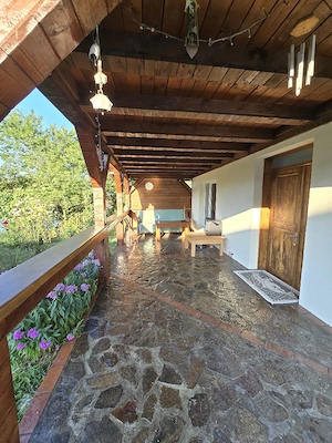 Curtea de Arges Casa plus teren 3148mp - imagine 9