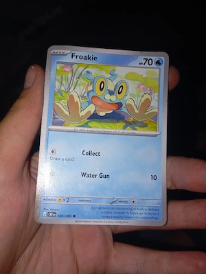cartonas pokemon