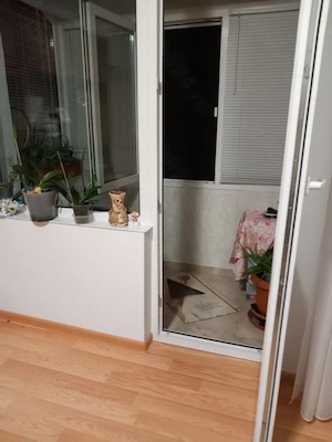 Apartament 2 camere decomandat , zona  verde  fara  trafic auto, la 2 pasi de bulevard.si de b - imagine 7