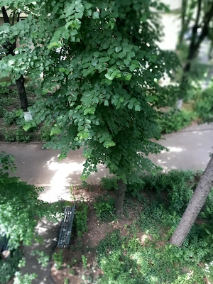 Apartament 2 camere decomandat , zona  verde  fara  trafic auto, la 2 pasi de bulevard.si de b