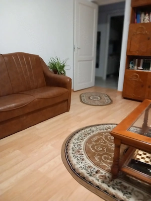 Apartament 2 camere decomandat , zona  verde  fara  trafic auto, la 2 pasi de bulevard.si de b - imagine 4