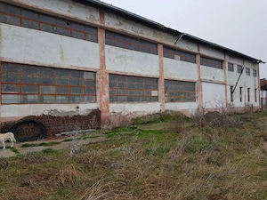 Vând hala de producție în localitatea Berzovia  - imagine 3