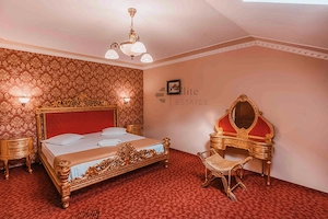 Pensiune cu restaurant si spa in Baile felix - imagine 11