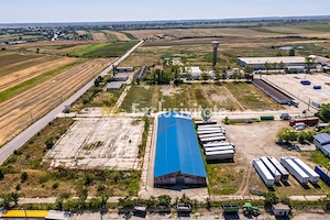 Teren industrial 16.000 mp lângă Autostrada A1 – Căteasca - imagine 5
