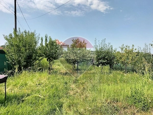 Teren 525 mp si constructie 54 mp in Gulia la 15 min de Bucuresti - imagine 3