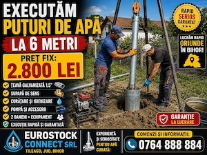 Prestări servicii 