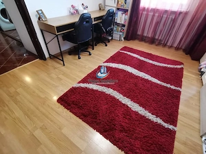 Apartament 2 camere decomandat, pe sud, Zona Lidl Darmanesti - imagine 7