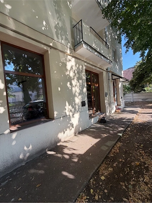 spatiu comercial, birou , ultracentral .  - imagine 4
