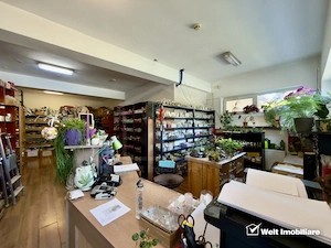 Casă individuală cu potențial rezidențial/comercial – Zona Platinia - imagine 16