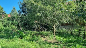 Casa de vanzare Valea Doftanei - imagine 3