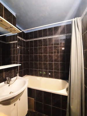Apartament cu 2 camere - Șandra, Timiș - imagine 7