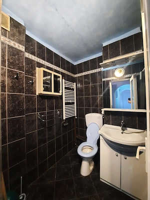Apartament cu 2 camere - Șandra, Timiș - imagine 8