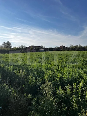 Casă de locuit în Valea Largă, cu teren generos de 5.100 mp - imagine 3