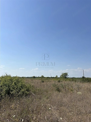 Doua Terenuri- Mosnita Veche- 561 mp