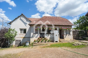 Casă familială spațioasă în Visea, comuna Jucu - imagine 2