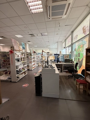 Spatiu comercial de vanzare Timisoara - imagine 2