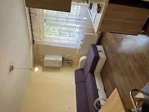 Inchiriez Apartament 1 camere si gradina Floresti Zona Tera - imagine 2