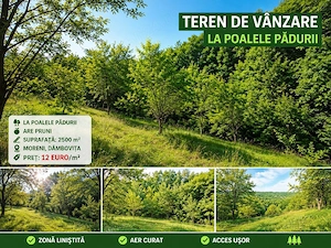 teren Moreni