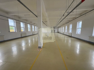 Hala industiala 3150 mp pretabila productie in Cisnadie - imagine 3