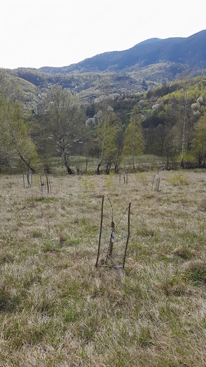pamant extravilan 26000mp - imagine 10