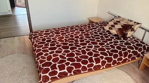 Apartament 4 camere zona Vlaiucu - Lebada - imagine 9