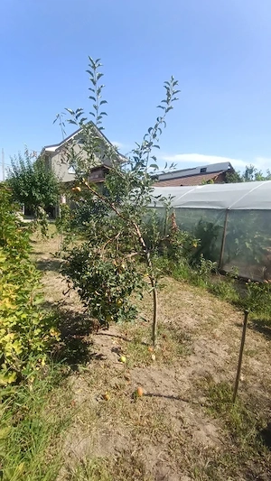 Casa P+1 de vanzare, 125 mp, zona Romanesti - imagine 10