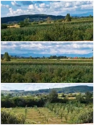 Casă modernă 237 mp + Teren 4.870 mp Intravilan | Sălsig, Maramureș - imagine 10
