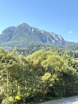 vand teren intravilan in Plaiul Foii-Zarnesti-Brasov - imagine 3