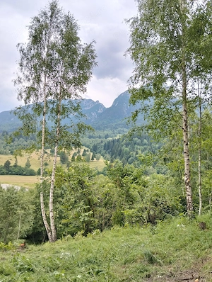 vand teren intravilan in Plaiul Foii-Zarnesti-Brasov - imagine 7