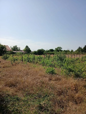 casa de vanzare in satul Crucea - imagine 3