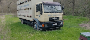 Camion apicol Man 13 224