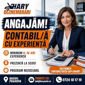 Angajam Contabil cu experienta
