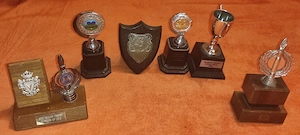  6 cupe trofee cistigate la concursuri  150 ron 
