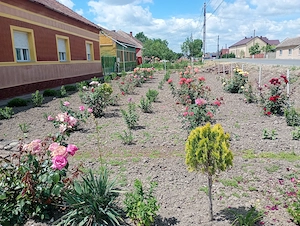 Casă de vânzare 