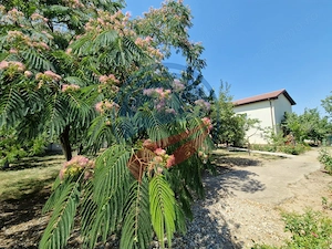 CASA P +E  5 camere -Cosoveni - imagine 17