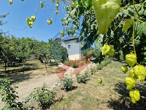 CASA P +E  5 camere -Cosoveni - imagine 16