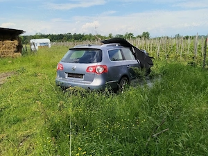 Passat dezmembrari