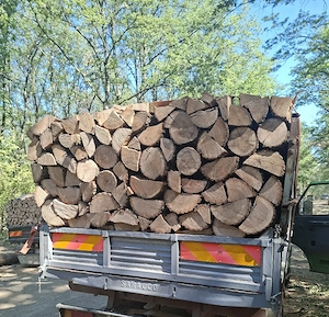vând lemne de foc esență tare cer,fag,carpen,stejar cantitate garantata  transport gratuit  lemnele 