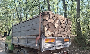vând lemne de foc esență tare cer,fag,carpen,stejar cantitate garantata  transport gratuit  lemnele 