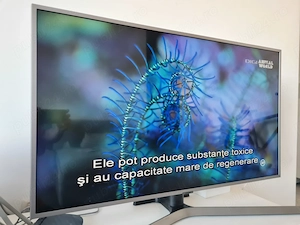 TV Smart UHD 4K Samsung108 Cm