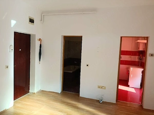 Apartament 1 camera in Turnisor zona Frunzei