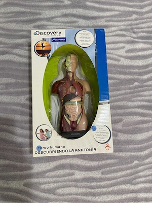 Macheta Corpul Uman Discovery