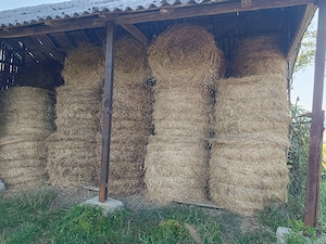 Baloți fân producție 2026