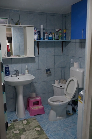 vand casa 3 camere teren 1237 mp - imagine 5