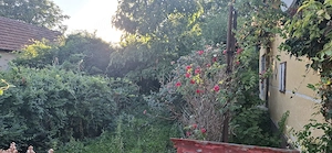 Casa în Csenger la 12km de Romania - imagine 3
