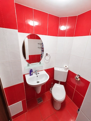 Apartament 1 cameră, 35 mp, complet mobilat, gata de mutare   Petroșani - imagine 4