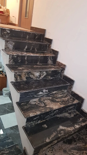 Execut lucrări în construcții 