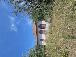 Vand casa sat Puturi, judetul Dolj - imagine 5