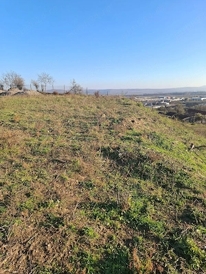 Teren zona Hepat 9300 mp - imagine 4